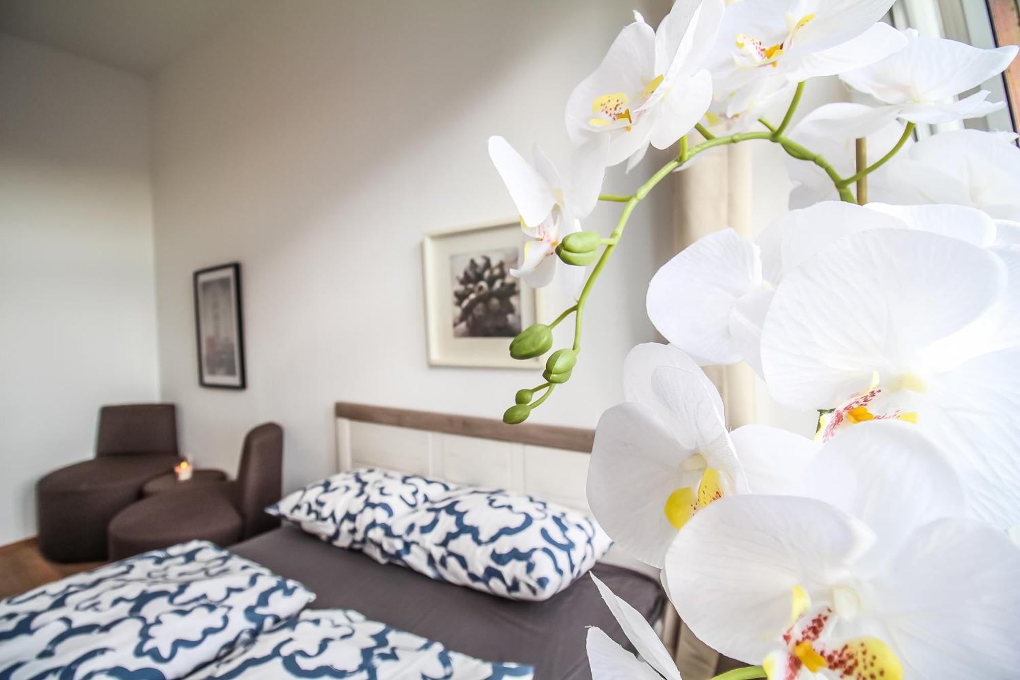 Disc Cozy Rooms In Liesing Vienne Extérieur photo
